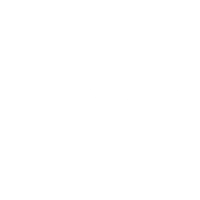 Early bird